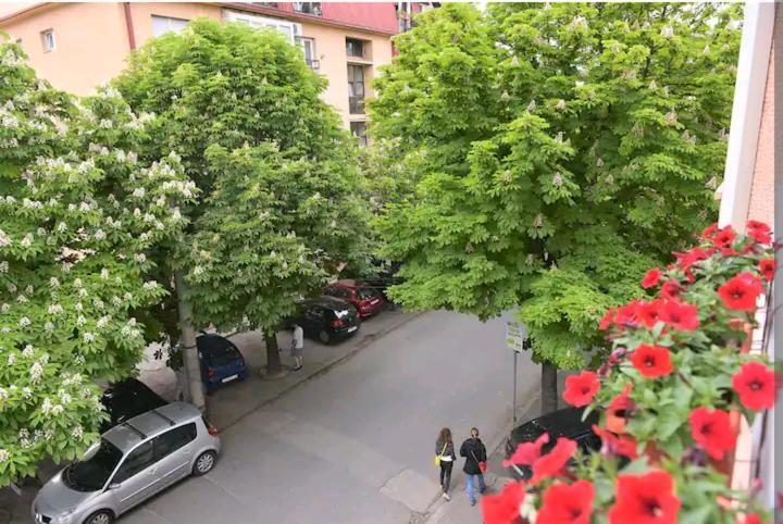 Milica Apartments Skopje Exteriér fotografie